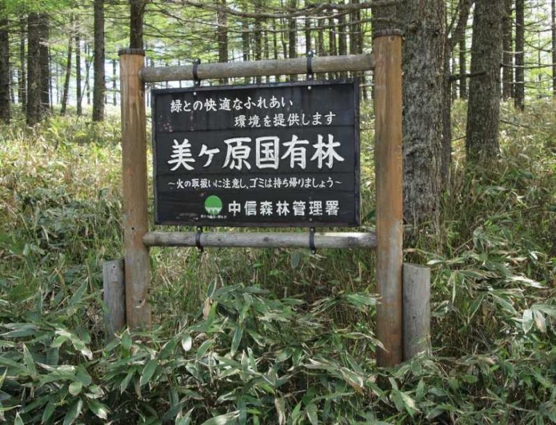 中信署