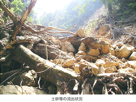 土砂等の流出状況