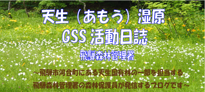 天生湿原GSS活動日誌