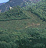 背景2