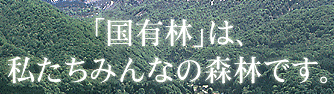 「国有林」は私たちみんなの森林です。