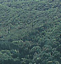 背景4