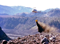 航空緑化工事（昭和59年度）