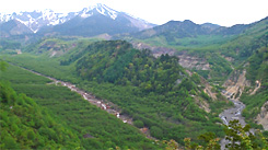 平成20年（2008