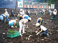 植栽作業