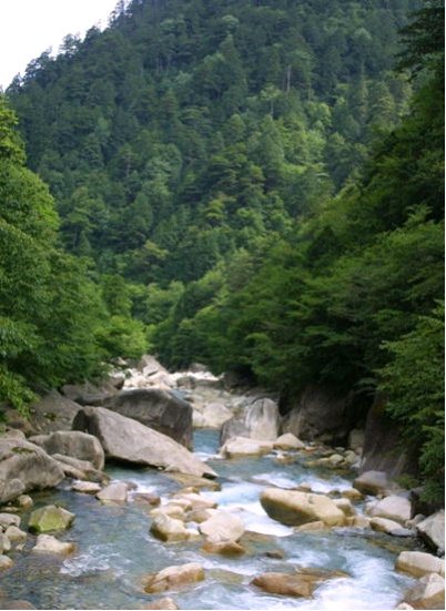 青く流れる阿寺渓谷