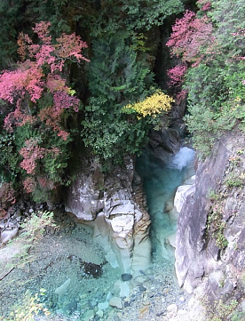 紅葉の柿其渓谷
