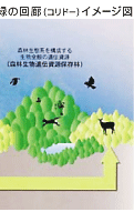 緑の回廊（コリドー）イメージ図