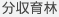 分収育林