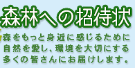 森林への招待状
森をもっと身近に感じるために自然を愛し、環境を大切にする多くの皆さんにお届けします。