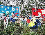海の男達による下刈作業