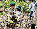 「ブナの植樹に汗を流す」
