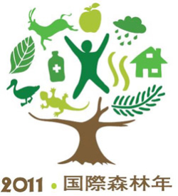 2011国際森林年