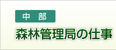 森林管理局の仕事