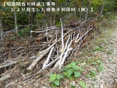 bioHPjouhouPict.jpg