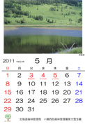5月