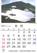 6月