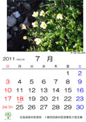 7月