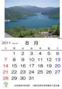 8月