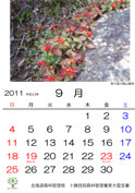 9月