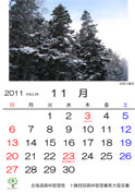 11月