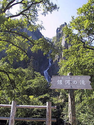 層雲峡風致探勝林の写真
