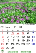 5月