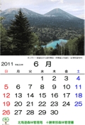 6月