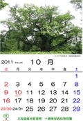 10月