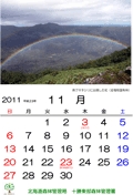 11月