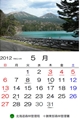 5月