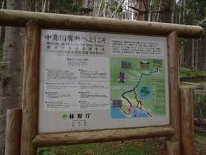 中島国有林の看板