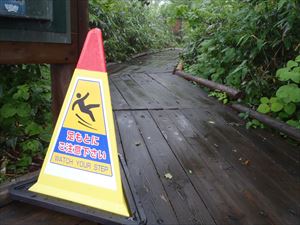 雨に濡れた木道は滑りやすいので、ご注意ください。