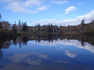 本日は風が無く、池塘の水面は鏡のようでした。