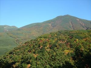 見晴らしの良い歩道から見えた知床連山のサシルイ岳です。