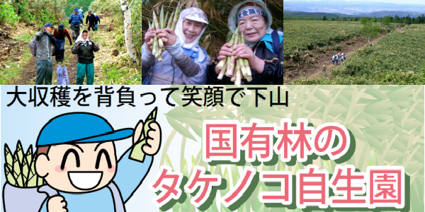 タケノコ自生園開放のイメージ