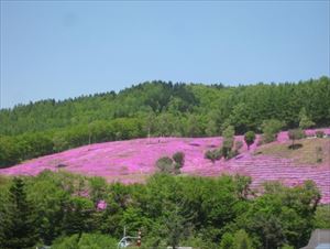 芝ざくら滝上公園と国有林.jpg