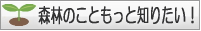 森林のこともっと知りたい！