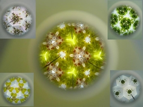 森林教室の万華鏡