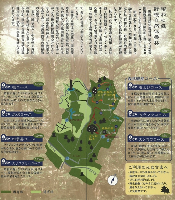 「昭和の森」野幌自然休養林