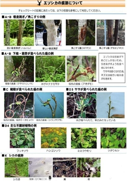 エゾシカ被害状況の参考写真