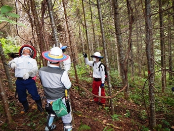 樹冠密度の調査