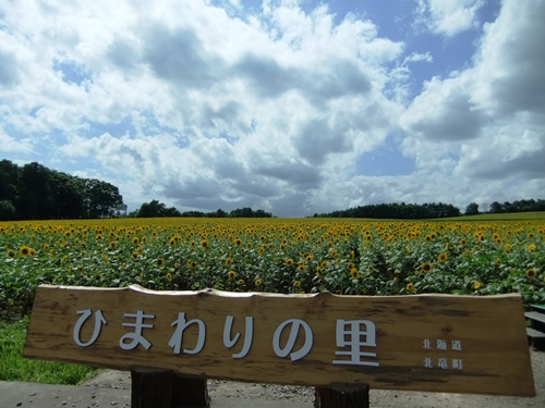 日本一の面積を誇るひまわりの里