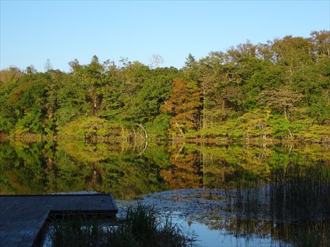 秋の口無沼