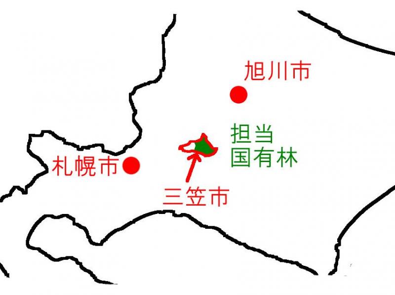 管理する国有林
