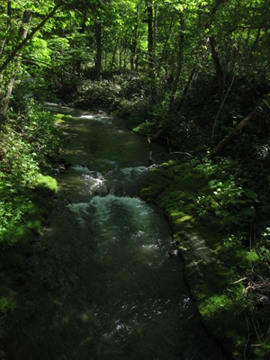 立牛川源流部