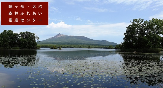 駒ヶ岳・大沼の写真令和元年6月撮影