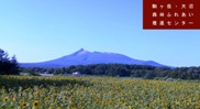 駒ヶ岳とヒマワリの写真平成29年8月撮影