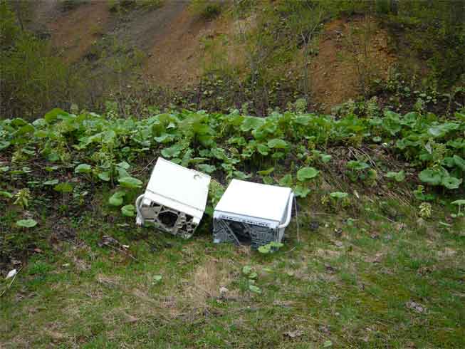 家庭ごみ（洗濯機）の不法投棄の状況