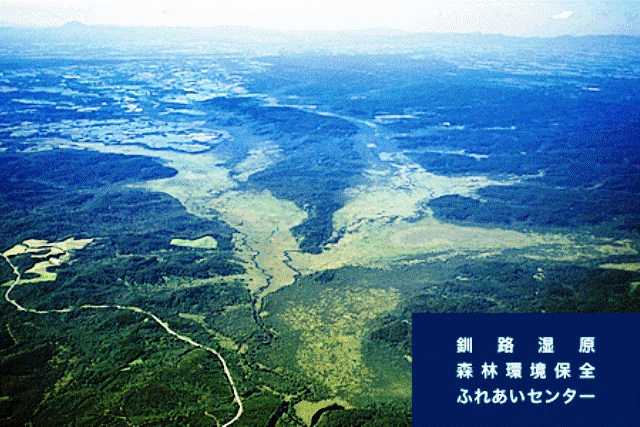 24年5月表紙